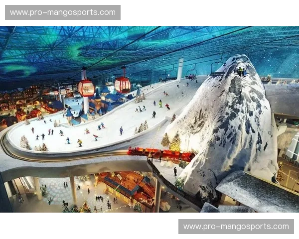 滑雪体育馆——四季皆可享的城市冰雪乐园